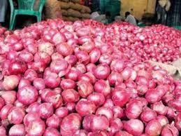 सरकार 35 रुपये प्रति किलो की दर से बेचेगी प्याज सरकार 35 रुपये प्रति किलो की दर से बेचेगी प्याज