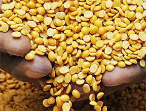 सरकार ने तुअर आयात के लाइसेंस की वैधता 31 दिसंबर तक बढ़ाई सरकार ने तुअर आयात के लाइसेंस की वैधता 31 दिसंबर तक बढ़ाई