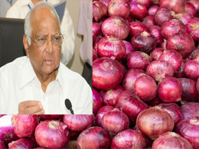 प्याज उत्पादकों से मुलाकात करेंगे पवार प्याज उत्पादकों से मुलाकात करेंगे पवार