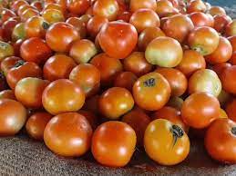 केंद्र दिल्ली और अन्य शहरों में रियायती दरों पर टमाटर बेचेगा केंद्र दिल्ली और अन्य शहरों में रियायती दरों पर टमाटर बेचेगा