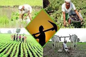 कृषि मंत्रालय ने बैंकों से कृषि अवसंरचना कोष को बढ़ावा देने को कहा कृषि मंत्रालय ने बैंकों से कृषि अवसंरचना कोष को बढ़ावा देने को कहा