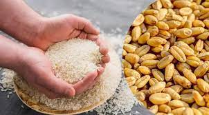 कीमतों पर काबू के लिए सरकार खुले बाजार में 50 लाख टन गेहूं, 25 लाख टन चावल और बेचेगी कीमतों पर काबू के लिए सरकार खुले बाजार में 50 लाख टन गेहूं, 25 लाख टन चावल और बेचेगी