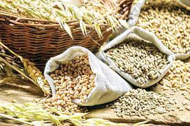 मोटे अनाज पर अंतरराष्ट्रीय सम्मेलन की मेजबानी की तैयारी में जुटा ओडिशा मोटे अनाज पर अंतरराष्ट्रीय सम्मेलन की मेजबानी की तैयारी में जुटा ओडिशा