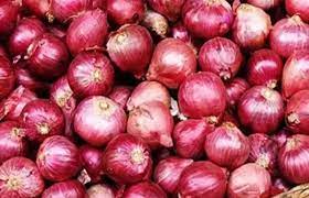 दिसंबर तक प्याज के लिए 800 डॉलर प्रति टन का न्यूनतम निर्यात मूल्य तय दिसंबर तक प्याज के लिए 800 डॉलर प्रति टन का न्यूनतम निर्यात मूल्य तय