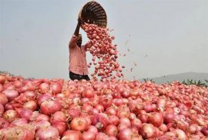 जम्मू-कश्मीर में रुलाने लगा प्याज, सेब से भी हुआ महंगा