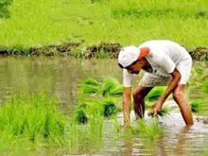 किसानों की मदद के लिए सैम पित्रोदा ने शुरू किया सूचना पोर्टल 