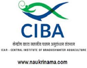  जीवाणुजनित बीमारी पर रोक लगाने के लिए नया उत्पाद विकसित