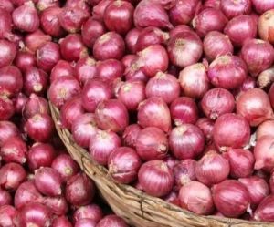  केंद्र ने प्याज के निर्यात में ढील दी