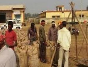 न्यूनतम समर्थन मूल्य पर पिछले 19 दिनों में 62.42 लाख टन खरीफ धान की खरीद न्यूनतम समर्थन मूल्य पर पिछले 19 दिनों में 62.42 लाख टन खरीफ धान की खरीद