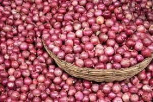  प्याज की आपूर्ति बढ़ाने के लिए आयात के नियमों में ढील