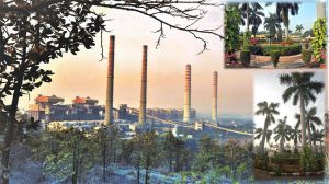  सिंगरौली स्थित एनटीपीसी की सबसे पुरानी इकाई ने चालू वित्त वर्ष में अब तक का सर्वाधिक पीएलएफ दर्ज किया