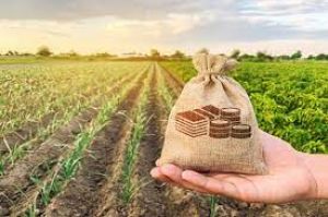  कृषि निर्यात के लिए एमटीए योजना का दायरा बढ़ा, डेयरी उत्पादों को मिलेगा लाभ