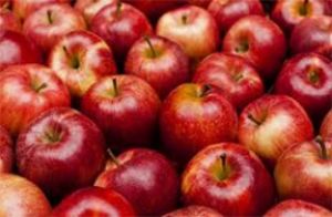 भारत का सेब निर्यात 82 प्रतिशत बढ़ा, आयात में 3.8 प्रतिशत की वृद्धि : वाणिज्य मंत्रालय