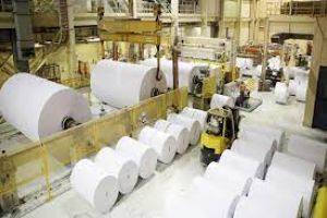  वित्त वर्ष 2027 तक देश में कागज की खपत तीन करोड़ टन होगीः आईपीएमए