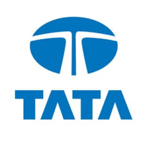 देश-विदेश में ‘बैटरी कंपनी' शुरू करने के लिए खाका तैयार कर रहा है टाटा समूह