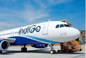 इंडिगो को केवल छह महीने के लिए चौड़े आकार वाले विमान पट्टे पर लेने की अनुमति मिली
