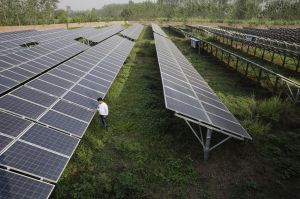 देश में  जुलाई-सितंबर के दौरान 2,700 मेगावॉट की नई सौर ऊर्जा क्षमता जोड़ी गई