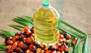 अगले आदेश तक बिना लाइसेंस के रिफाइंड पाम तेल का आयात कर सकते हैं व्यापारी अगले आदेश तक बिना लाइसेंस के रिफाइंड पाम तेल का आयात कर सकते हैं व्यापारी