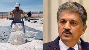 लिथियम के शोधन के लिए क्षमता स्थापित करने की जरूरतः आनंद महिंद्रा लिथियम के शोधन के लिए क्षमता स्थापित करने की जरूरतः आनंद महिंद्रा