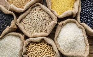 गेहूं, चावल, चीनी की आपूर्ति पर्याप्त, त्योहारों के दौरान काबू में रहेंगे दाम: खाद्य सचिव