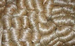  बंपर उत्पादन के बाद सरकार ने कच्चे जूट के लिए न्यूनतम मूल्य तय किया