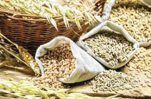 मोटे अनाज पर अंतरराष्ट्रीय सम्मेलन की मेजबानी की तैयारी में जुटा ओडिशा