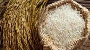 सरकार ने सात देशों को 10 लाख टन से अधिक गैर-बासमती चावल के निर्यात की अनुमति दी