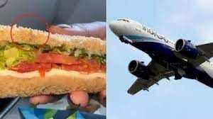 इंडिगो की दिल्ली-मुंबई उड़ान में यात्री को परोसे गए सैंडविच में कीड़ा मिला