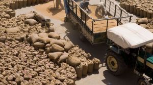 सरकार ने 2024-25 के सत्र के लिए गेहूं खरीद का लक्ष्य 3-3.2 करोड़ टन तय किया