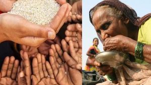  वैश्विक भूख सूचकांक 2024 में 127 देशों में 105वें स्थान पर भारत