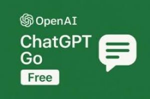 ओपनएआई की ‘चैटजीपीटी गो' सेवा भारत में एक साल तक मुफ्त मिलेगी