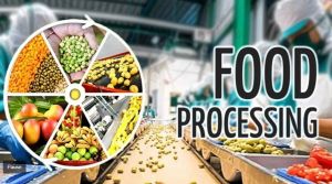  PLI Scheme से देश में प्रति वर्ष 35.00 लाख मीट्रिक टन की खाद्य प्रसंस्करण क्षमता में वृद्धि