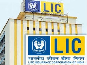 एलआईसी मार्च तिमाही में सबसे अधिक मुनाफा कमाने वाली वित्तीय क्षेत्र की कंपनी