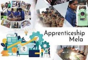  आईटीआई कोनी में अप्रेंटिसशिप मेला 14 जुलाई को