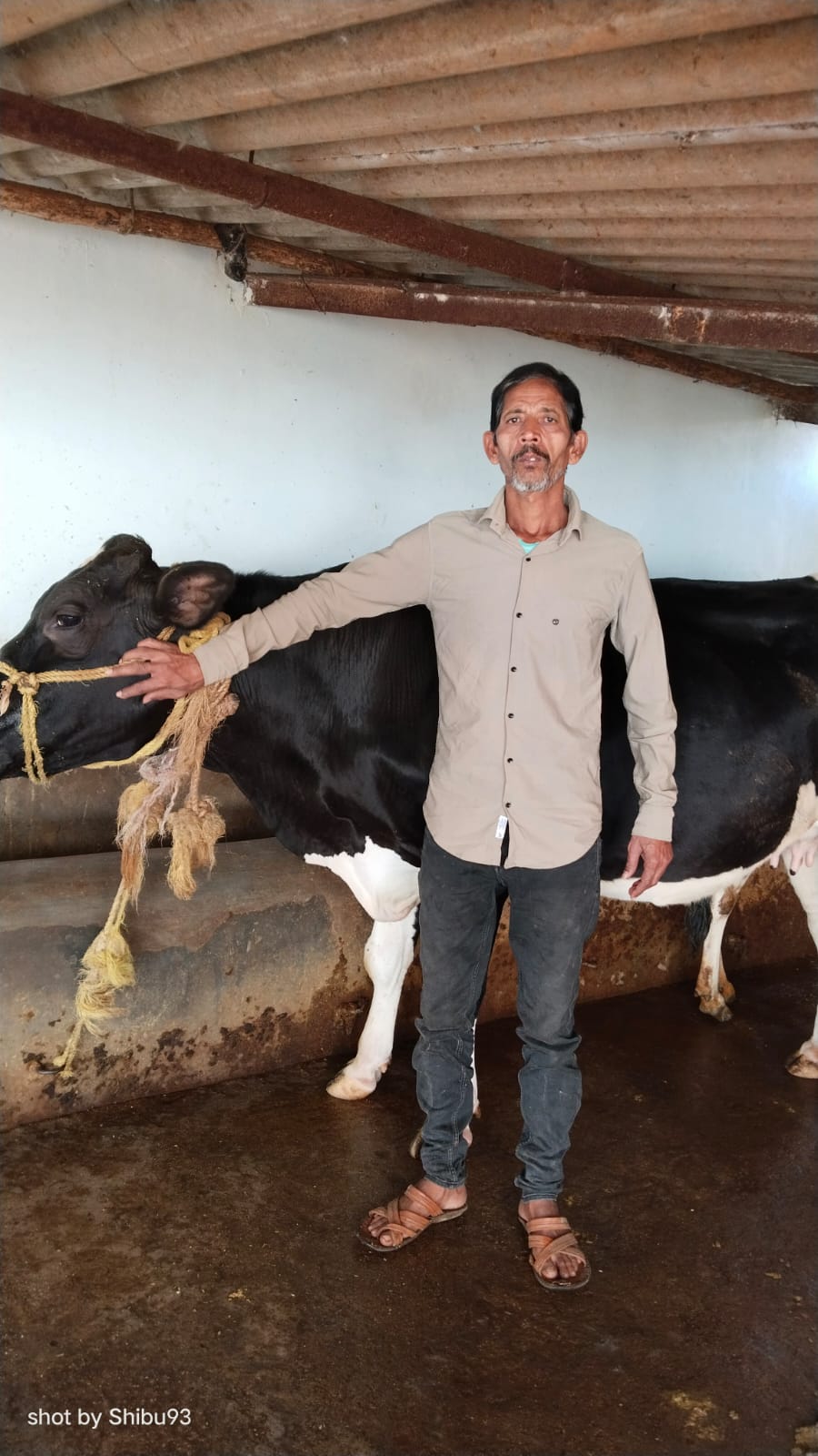 गोबर बना दुर्गा प्रसाद के लिए आमदनी का बेहतर जरिया गोबर बना दुर्गा प्रसाद के लिए आमदनी का बेहतर जरिया