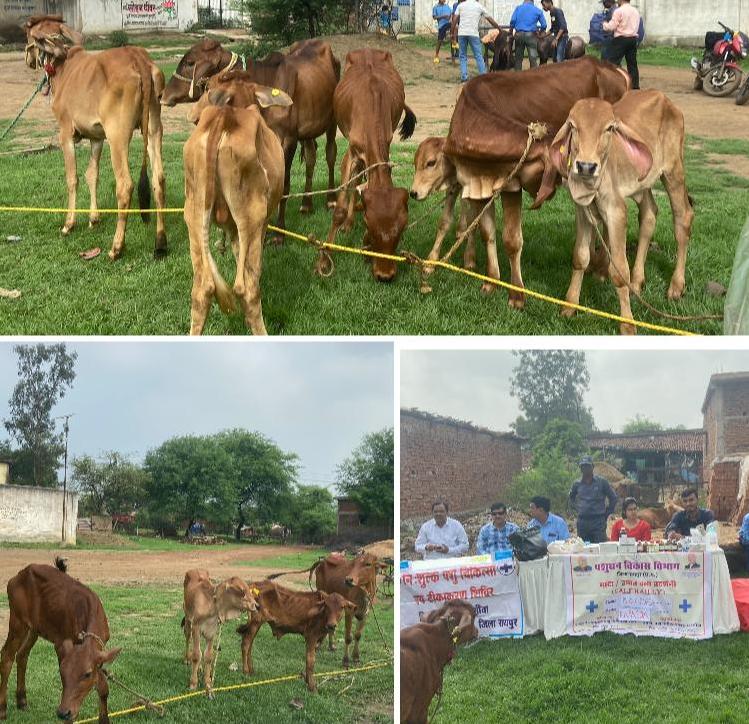 रायपुर जिले में चलाया जा रहा रोेका-छेका अभियान रायपुर जिले में चलाया जा रहा रोेका-छेका अभियान