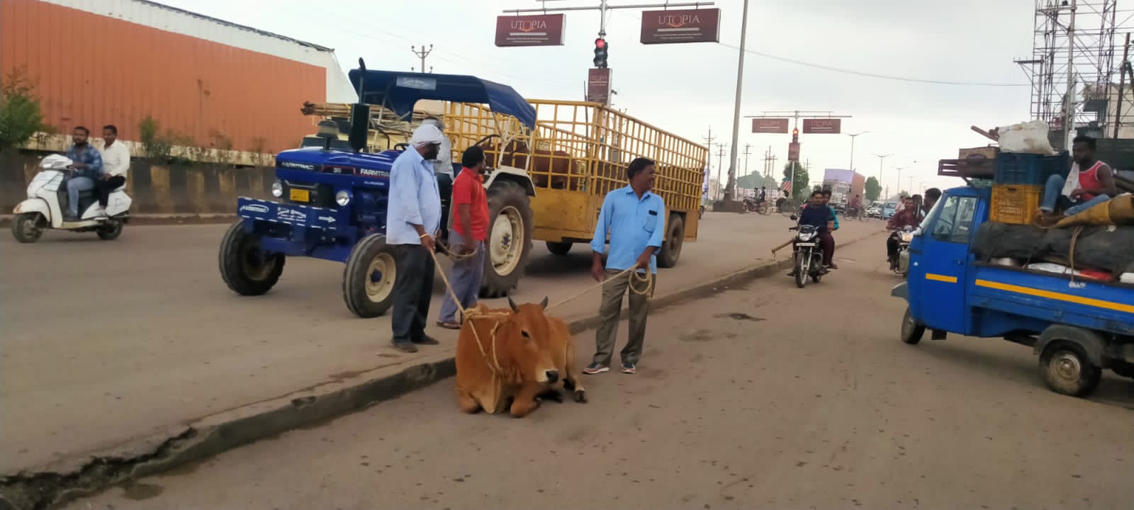 भिलाई निगम ने चलाया आवारा पशुओ को पकड़ने रोका छेका अभियान भिलाई निगम ने चलाया आवारा पशुओ को पकड़ने रोका छेका अभियान