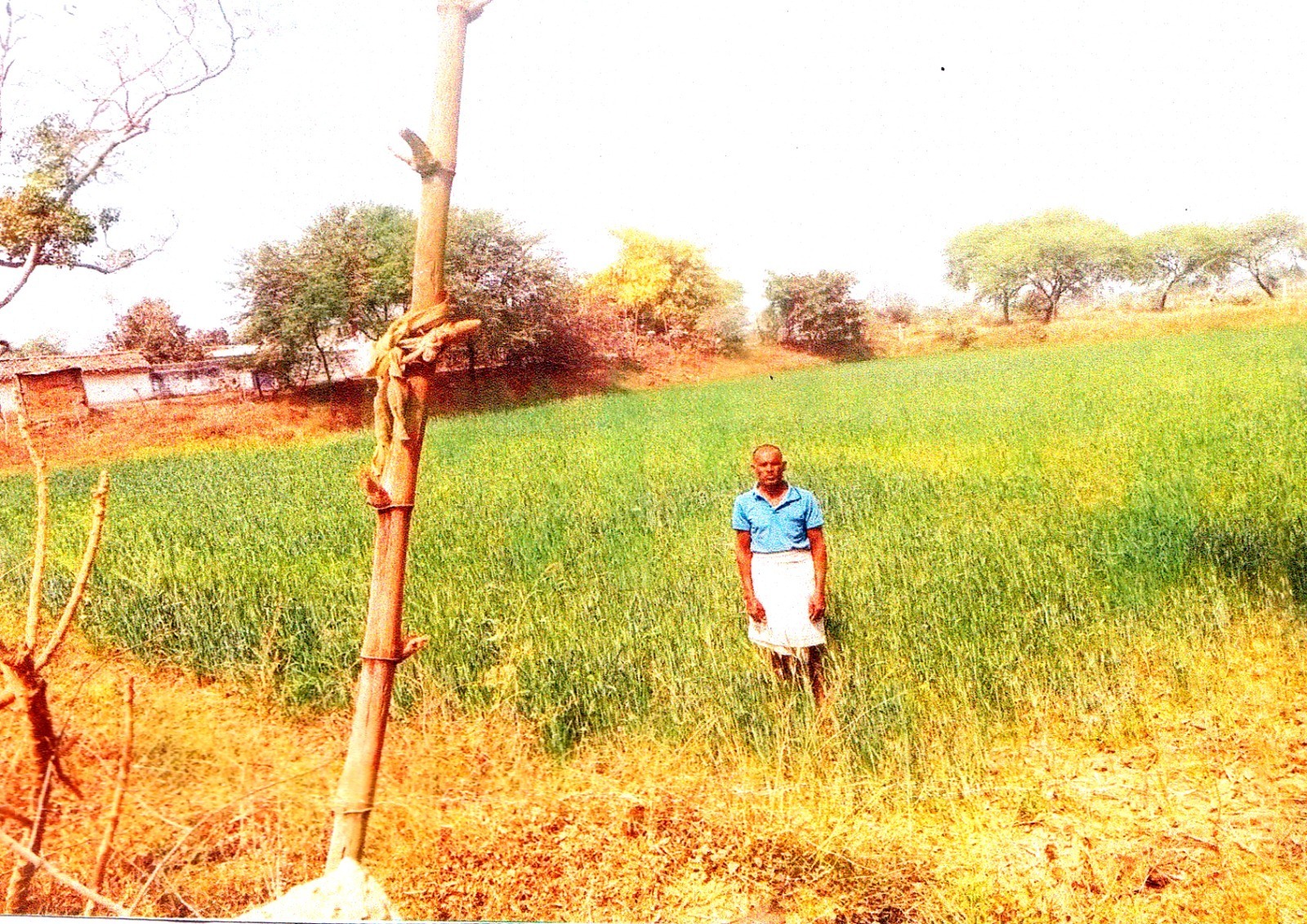 शासन की योजनाओं का लाभ लेकर कम लागत में किसान कर रहे फसलों की अच्छी पैदावार शासन की योजनाओं का लाभ लेकर कम लागत में किसान कर रहे फसलों की अच्छी पैदावार