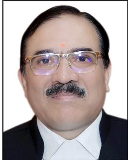 एडिशनल जज दीपक तिवारी बने हाई कोर्ट के स्थायी जज एडिशनल जज दीपक तिवारी बने हाई कोर्ट के स्थायी जज