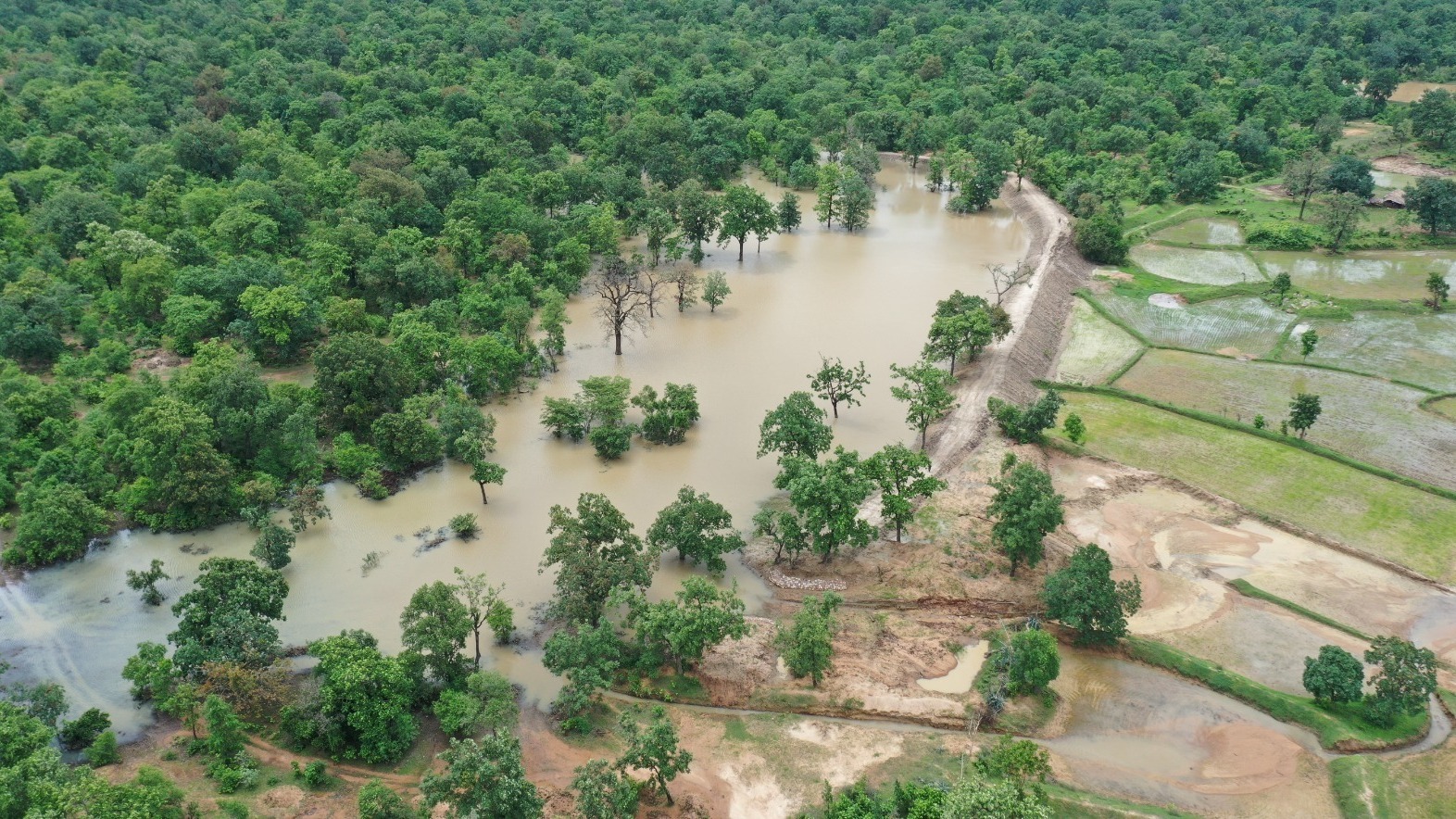 नरवा विकास : वनांचल में पेयजल सिंचाई तथा निस्तारी आदि सुविधाओं का मिल रहा भरपूर लाभ नरवा विकास : वनांचल में पेयजल सिंचाई तथा निस्तारी आदि सुविधाओं का मिल रहा भरपूर लाभ