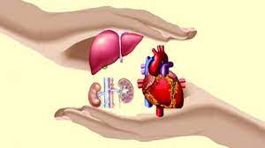 अंगदान के प्रति लोगों को जागरूक करने 3 अगस्त को मनाया जाएगा अंगदान महोत्सव अंगदान के प्रति लोगों को जागरूक करने 3 अगस्त को मनाया जाएगा अंगदान महोत्सव