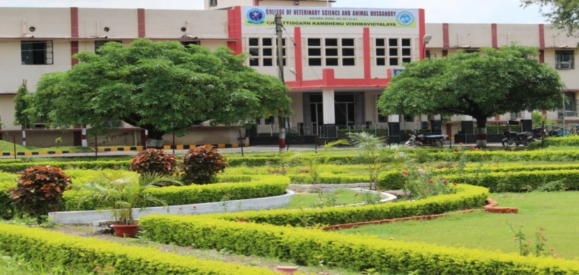 बी.व्ही.एस.सी. एण्ड ए.एच. पाठ्यक्रम : काउंसिलिंग हेतु ऑनलाइन पंजीयन 16 अगस्त तक बी.व्ही.एस.सी. एण्ड ए.एच. पाठ्यक्रम : काउंसिलिंग हेतु ऑनलाइन पंजीयन 16 अगस्त तक