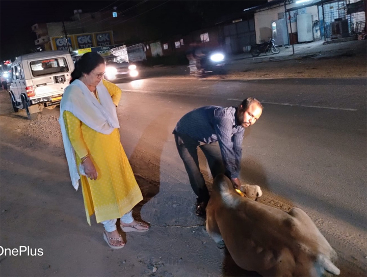 रोका छेका अभियान के तहत घुमंतु पशुओं को लगया जा रहा रेडियम बेल्ट एवं टैंग रोका छेका अभियान के तहत घुमंतु पशुओं को लगया जा रहा रेडियम बेल्ट एवं टैंग