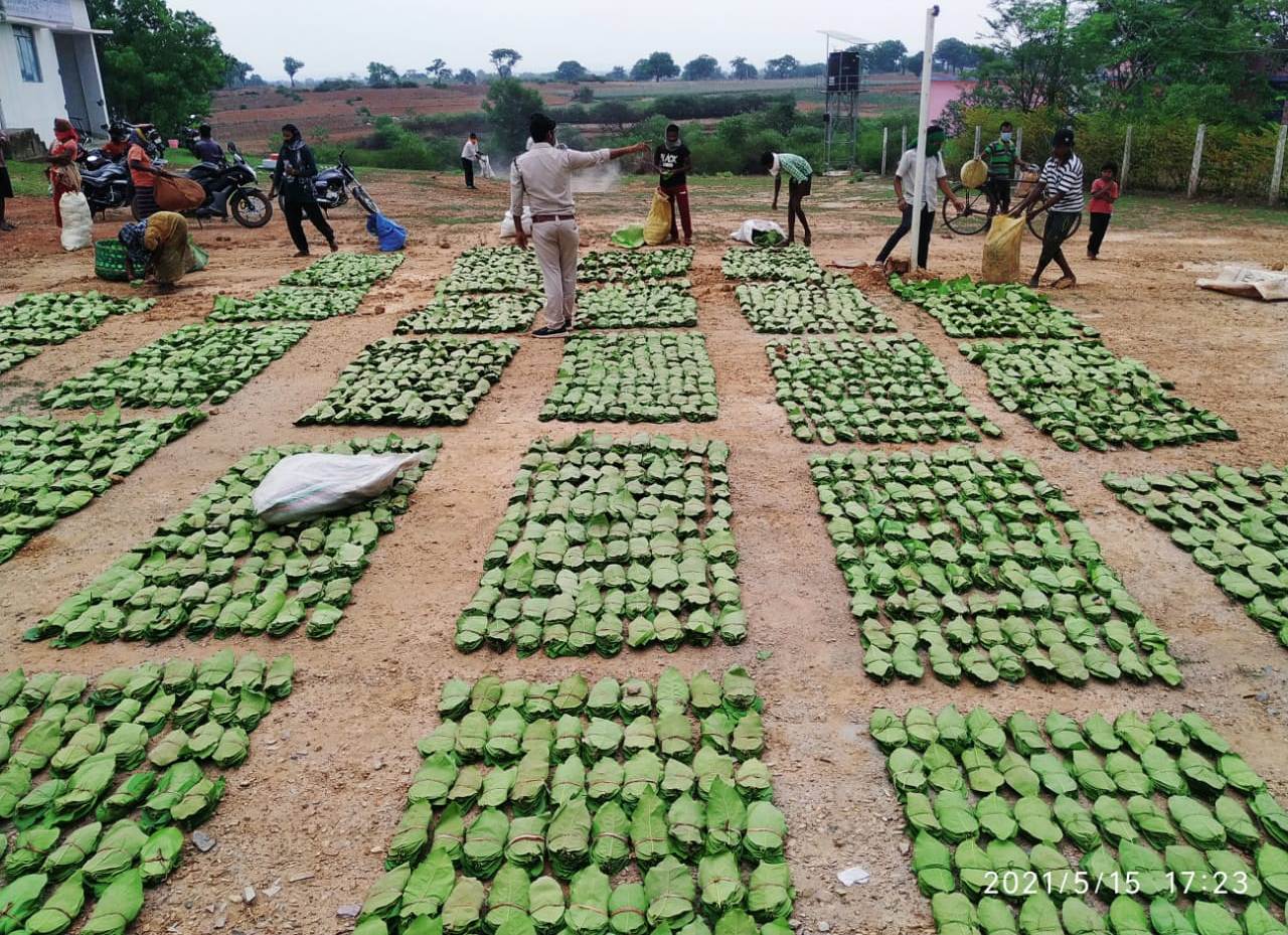 विश्व आदिवासी दिवस: वन विभाग द्वारा 500 करोड़ रूपए का होगा वितरण विश्व आदिवासी दिवस: वन विभाग द्वारा 500 करोड़ रूपए का होगा वितरण