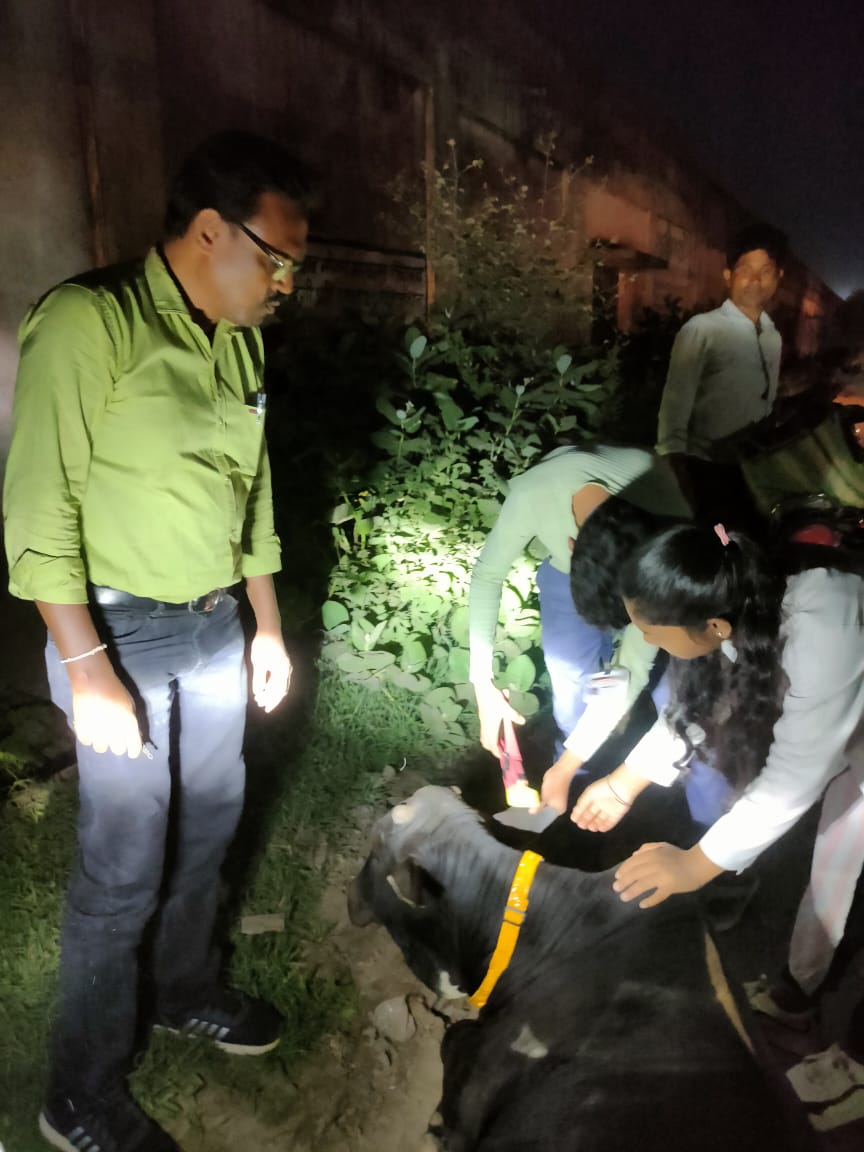 रेडियम बेल्ट एवं ईयर टैगिंग कार्य के लिए अधिकारियों को सौंपी गई जिम्मेदारी रेडियम बेल्ट एवं ईयर टैगिंग कार्य के लिए अधिकारियों को सौंपी गई जिम्मेदारी