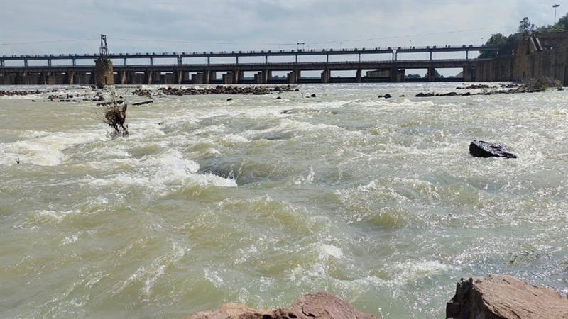 बरसात थमे एक सप्ताह बीता नहीं गंगरेल से डिस्चार्ज बढ़ाने की मांग शुरू,सिंचाई मंत्री को सौंपेंगे ज्ञापन बरसात थमे एक सप्ताह बीता नहीं गंगरेल से डिस्चार्ज बढ़ाने की मांग शुरू,सिंचाई मंत्री को सौंपेंगे ज्ञापन