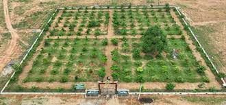 कृष्ण कुंज से पल्लवित होता प्रकृति के साथ संस्कृति का मेल कृष्ण कुंज से पल्लवित होता प्रकृति के साथ संस्कृति का मेल