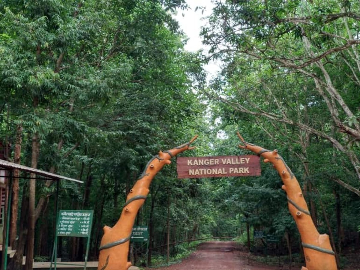 हरी-भरी वादियों के बीच प्राकृतिक खूबसूरती को समेटा कांगेर घाटी राष्ट्रीय उद्यान हरी-भरी वादियों के बीच प्राकृतिक खूबसूरती को समेटा कांगेर घाटी राष्ट्रीय उद्यान