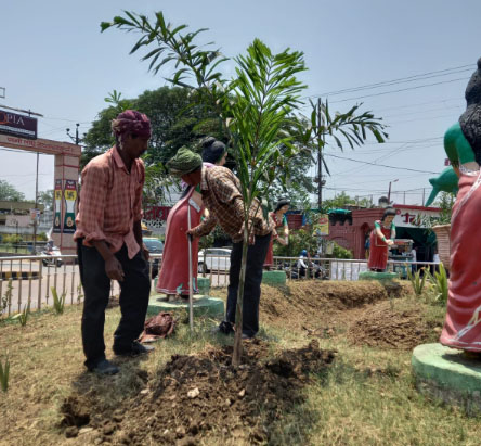 शहर को ग्रीन जोन बनाने दुर्ग से कुम्हारी तक लगाए गए बोगनविलिया, कनेर और चम्पा शहर को ग्रीन जोन बनाने दुर्ग से कुम्हारी तक लगाए गए बोगनविलिया, कनेर और चम्पा