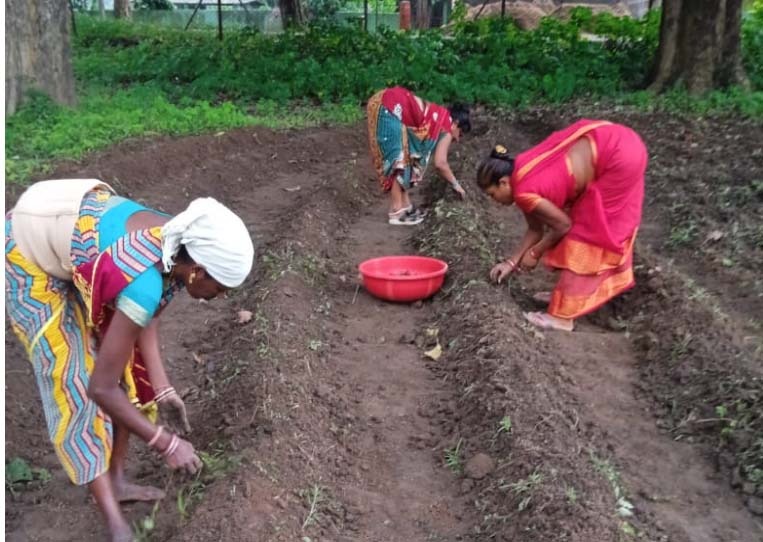 हल्दी से आयेगी दीदियों के जीवन में समृद्धि हल्दी से आयेगी दीदियों के जीवन में समृद्धि